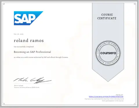 Becoming an SAP Professional certificate