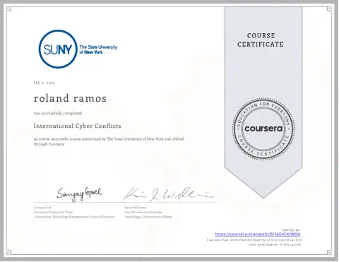 International Cyber Conflicts certificate